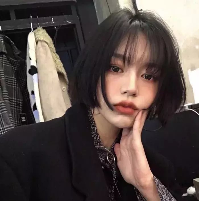 狗狗史酷比